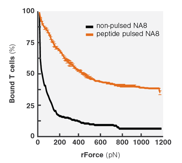 Avidity Curve Na8 Peptide Pulsing DM